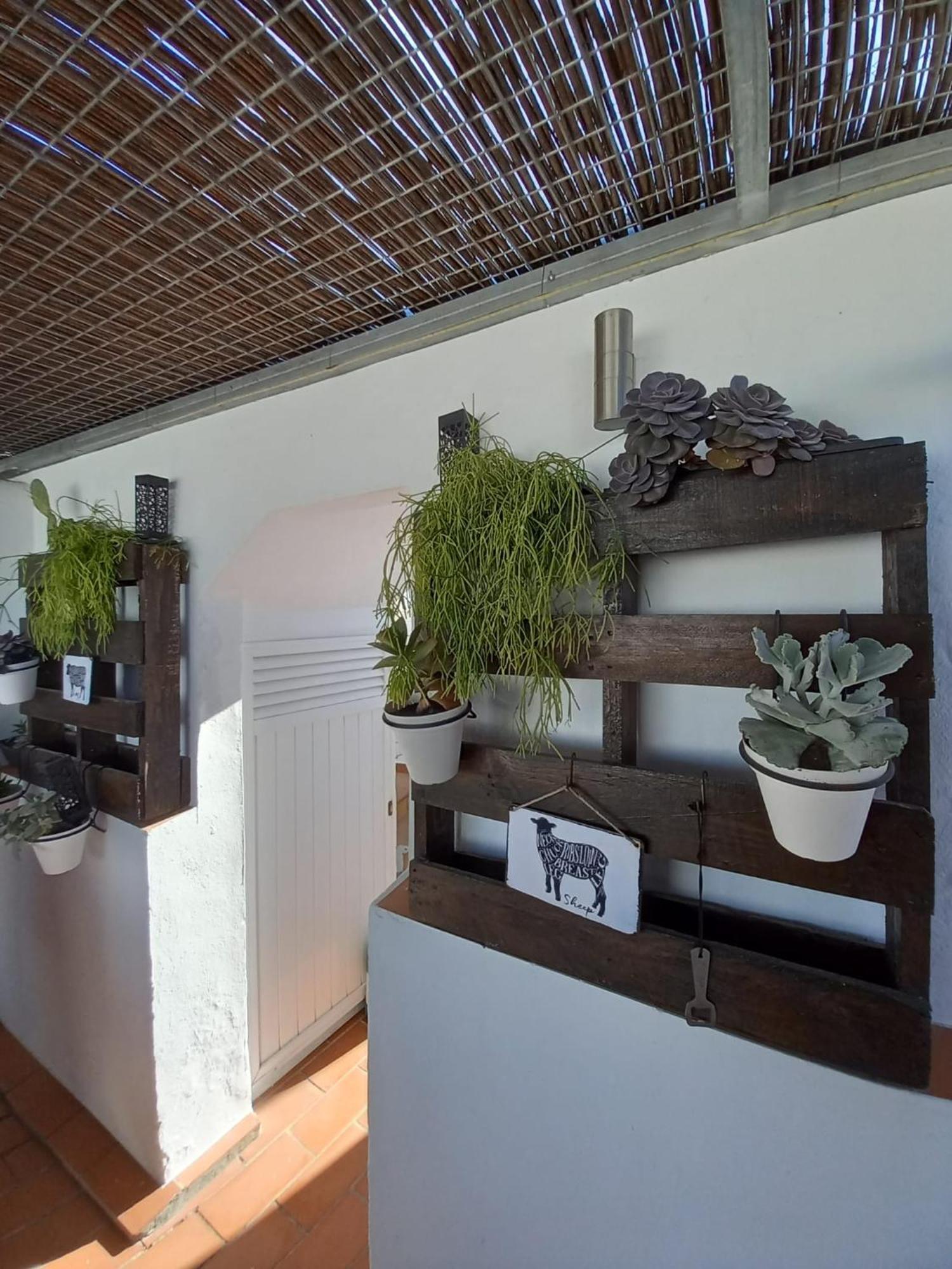 Casa El Molino Villa Conil De La Frontera Ngoại thất bức ảnh