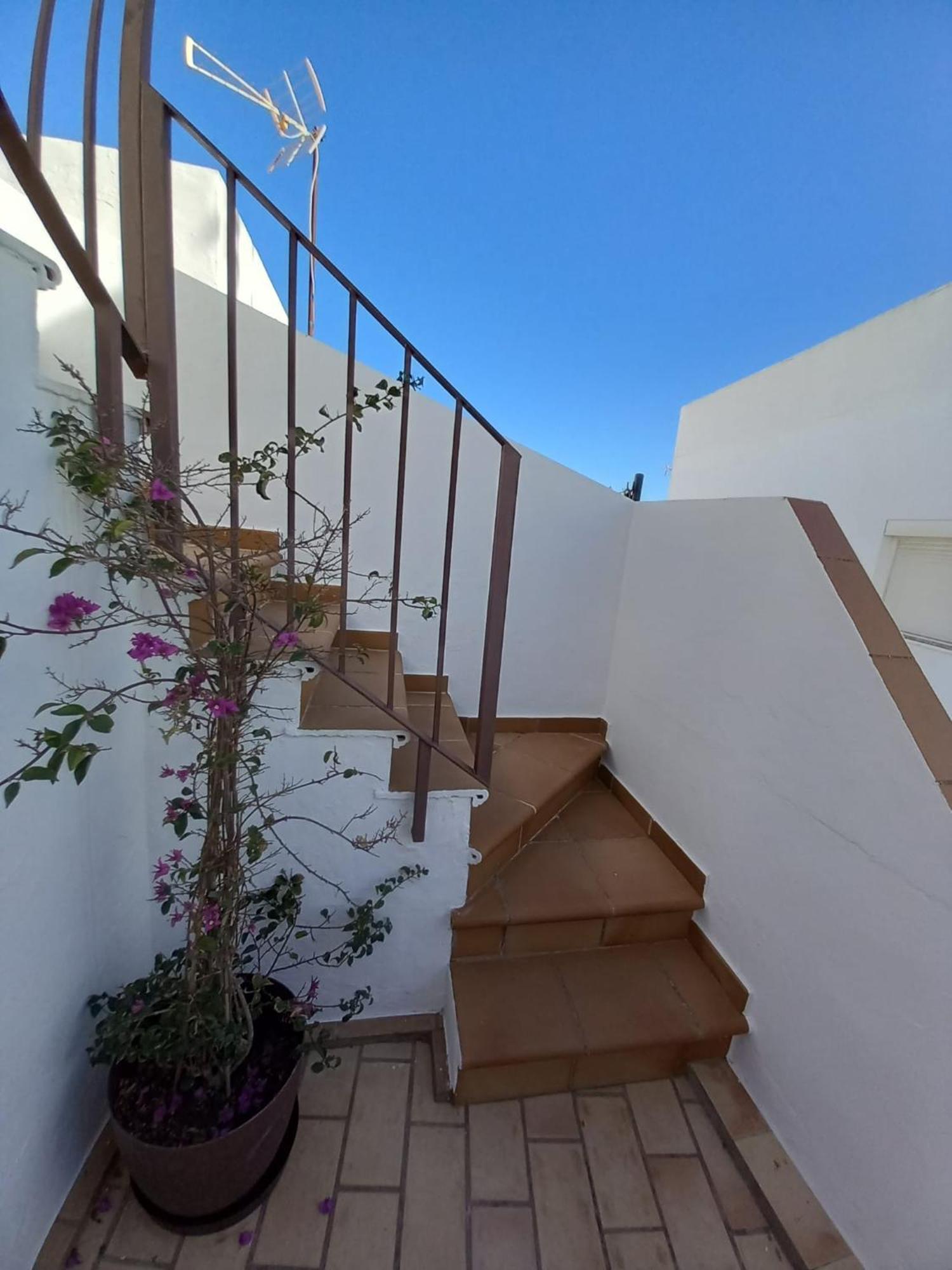 Casa El Molino Villa Conil De La Frontera Ngoại thất bức ảnh